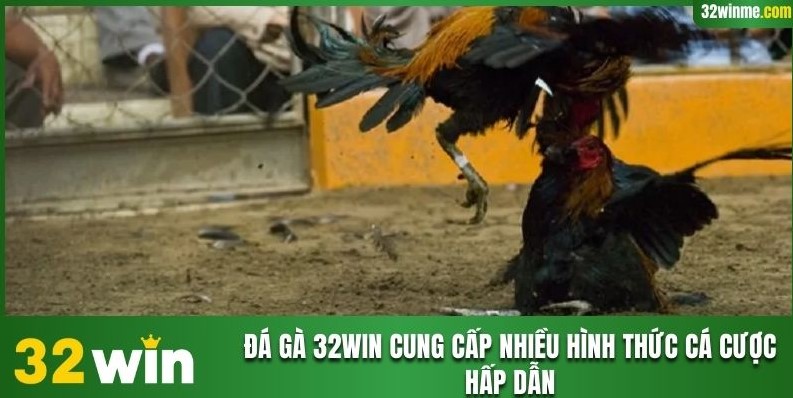 Đá gà 32WIN cung cấp nhiều hình thức cá cược hấp dẫn